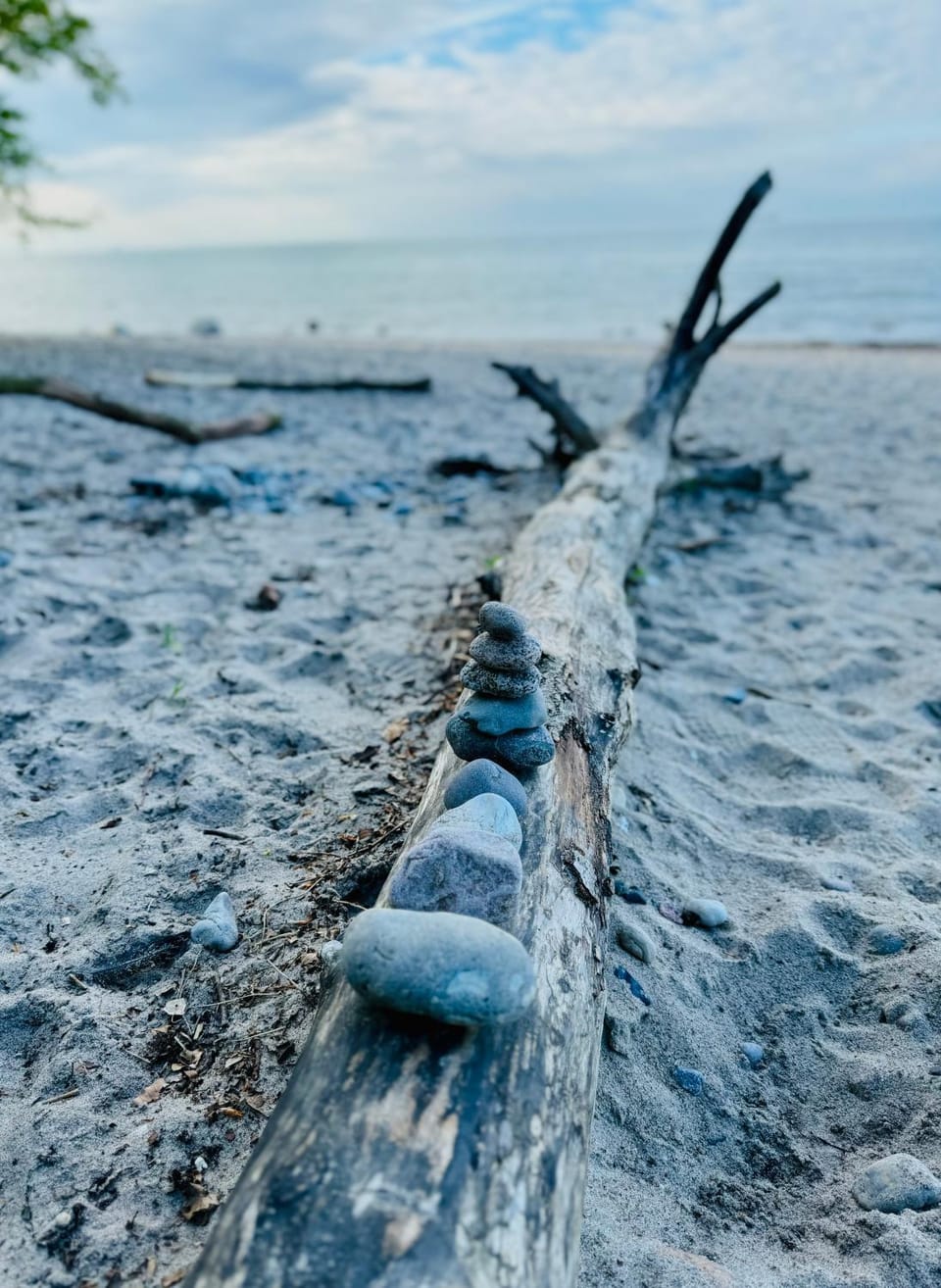 Ferienwohnung Rostock Nähe Warnemünde Apartment in Mecklenburg-Vorpommern, Germany