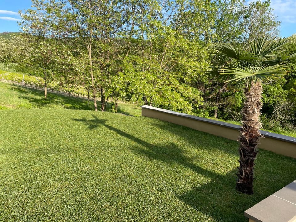 Natural landscape, Garden