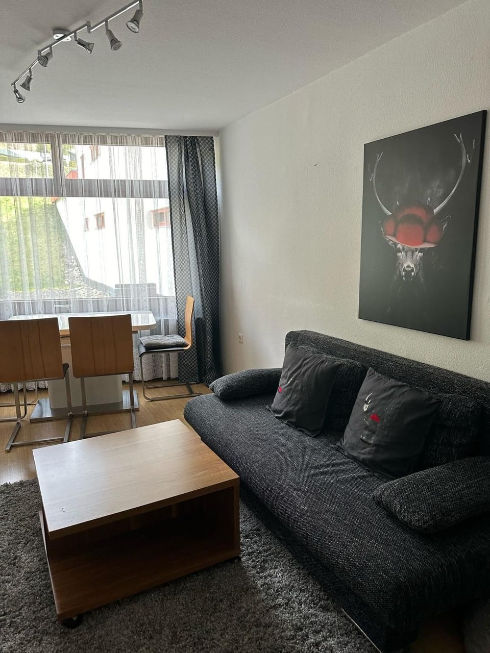 2 Zimmer Appartement mit Pool im Haus Apartment in Schluchsee