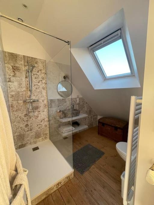 Shower, Toilet, Bathroom, towels