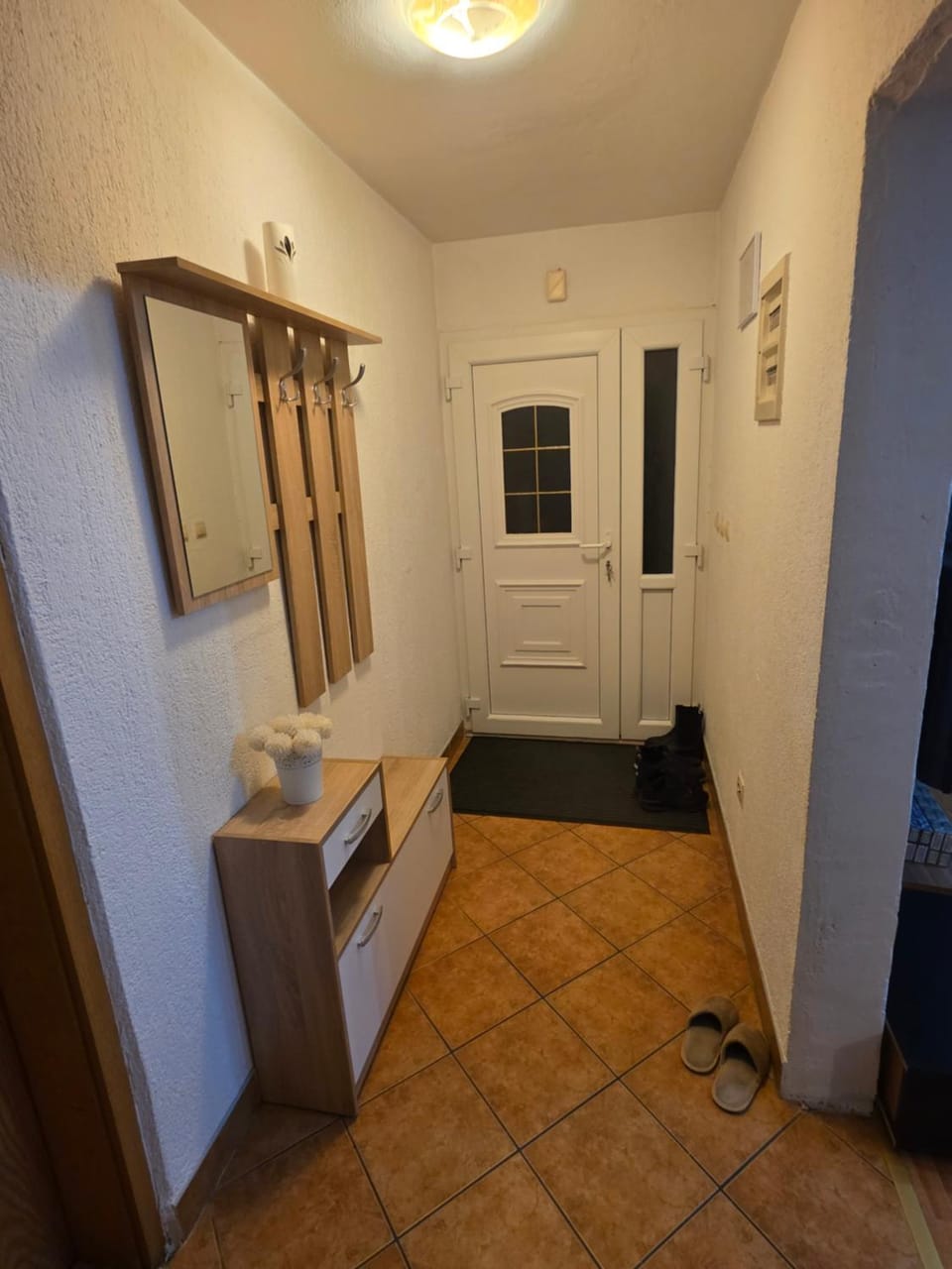 Holiday house with a big garden and free parking Apartment in Brod-Posavina County, Croatia