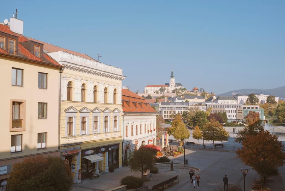 City view, Street view