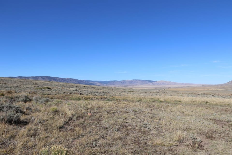 Rebel Ranch Medicine Bow National Forest House in Wyoming