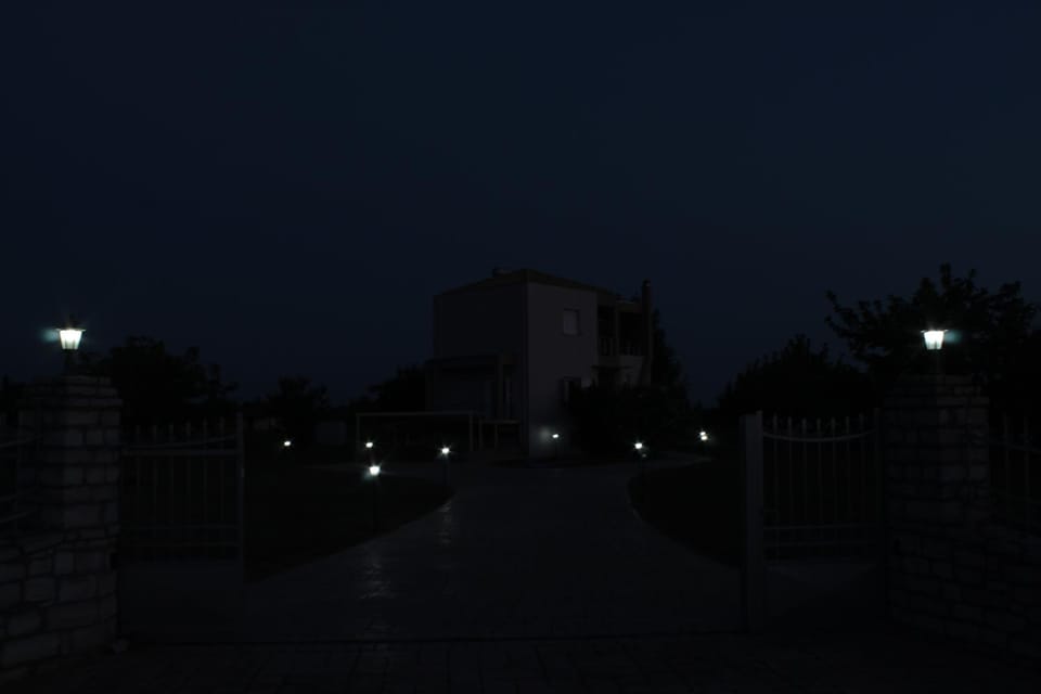 Night