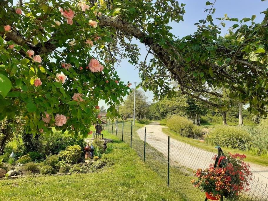 Spring, Garden view
