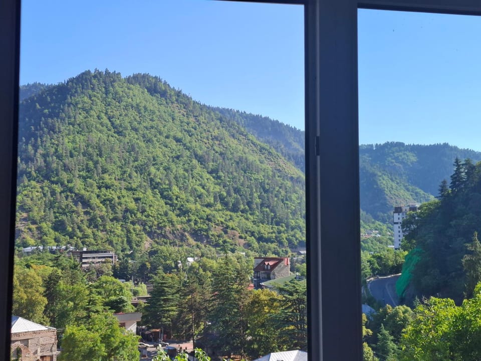 Borjomi Nest 1 Bed and Breakfast in Georgia