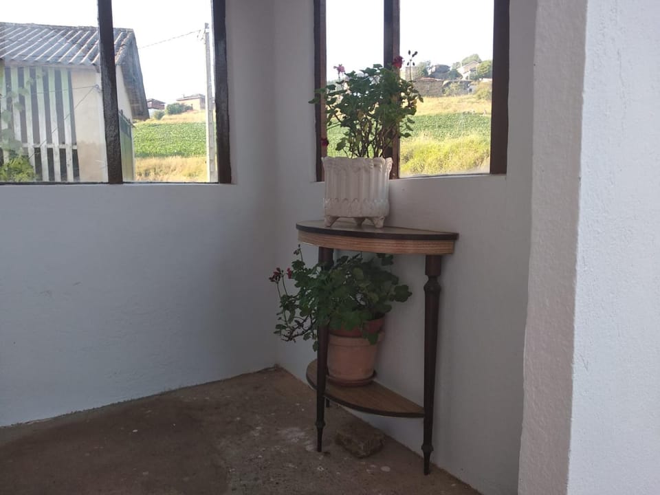 Casa Laureano Apartment in Asturias