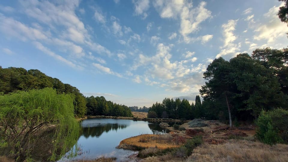 Natural landscape