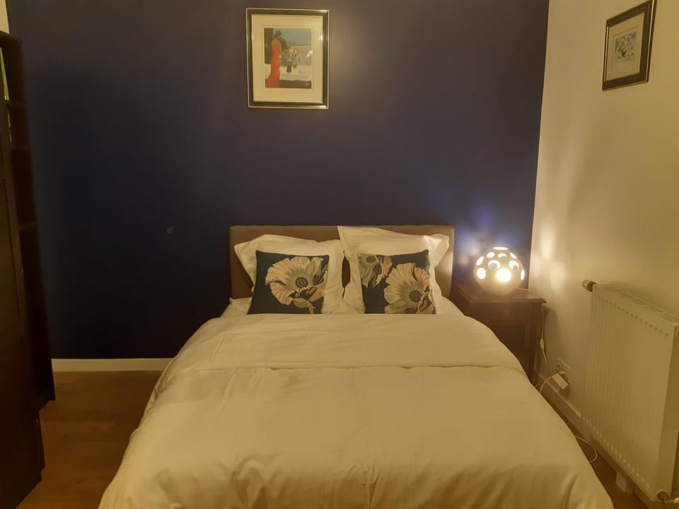 LE COCON BLEU Chambre chez l'habitant Vacation rental in Île-de-France