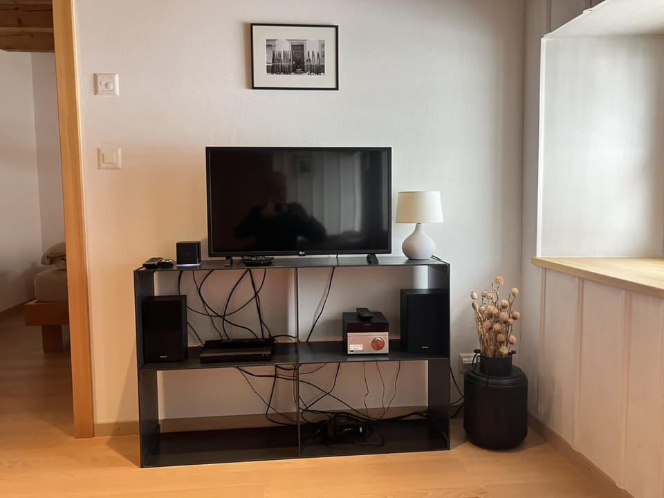TV and multimedia, Living room
