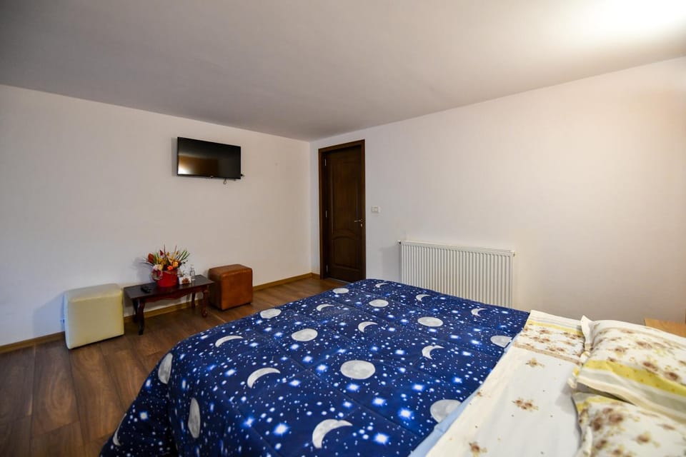 Villa CASTELLINO Bed and Breakfast in Romania