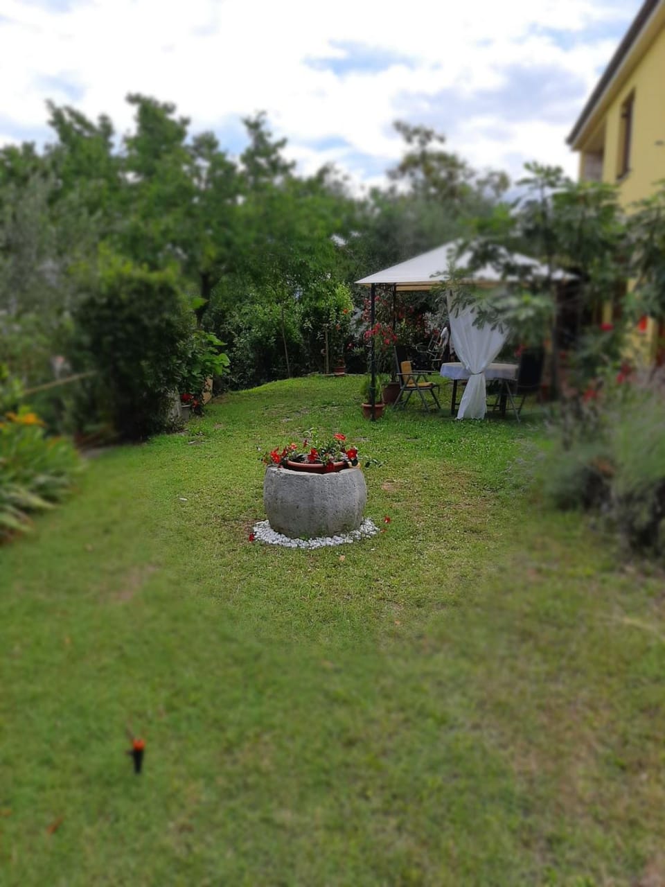 Garden, Garden view