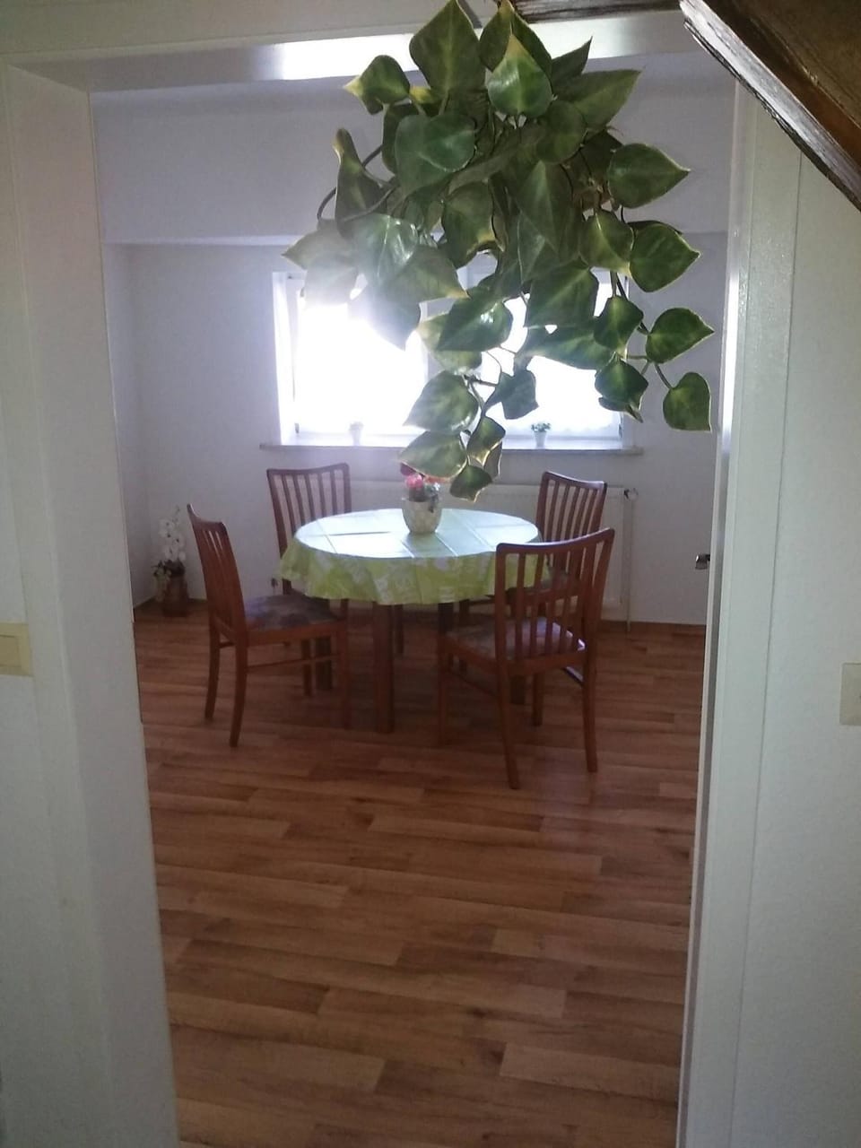Restaurant/places to eat, Dining area