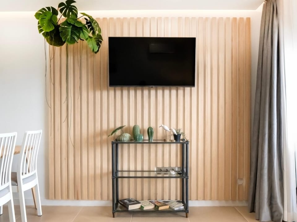 TV and multimedia