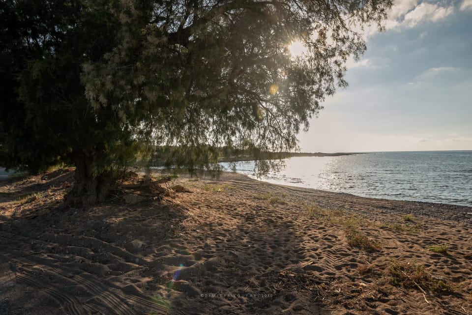 Natural landscape, Beach, Sunset
