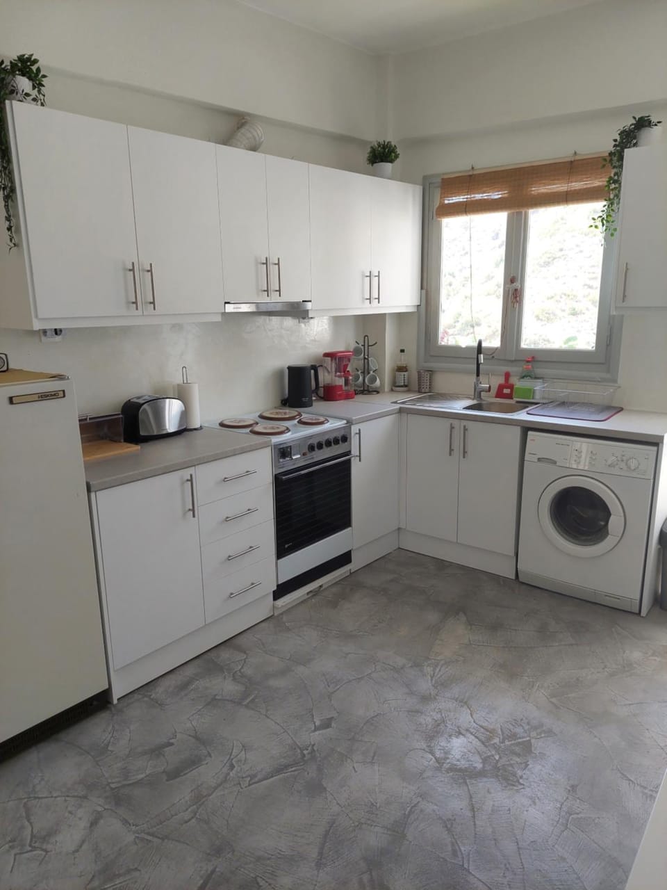 Kitchen or kitchenette, pet friendly, washing machine