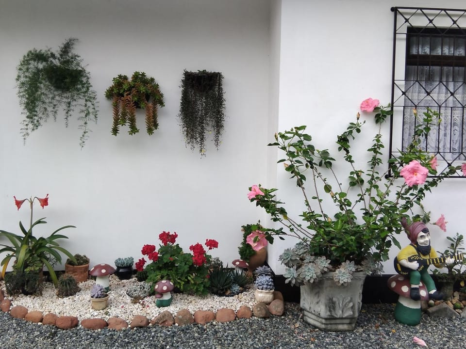 Recanto Área Verde, tradição e cultura alemã House in Pomerode