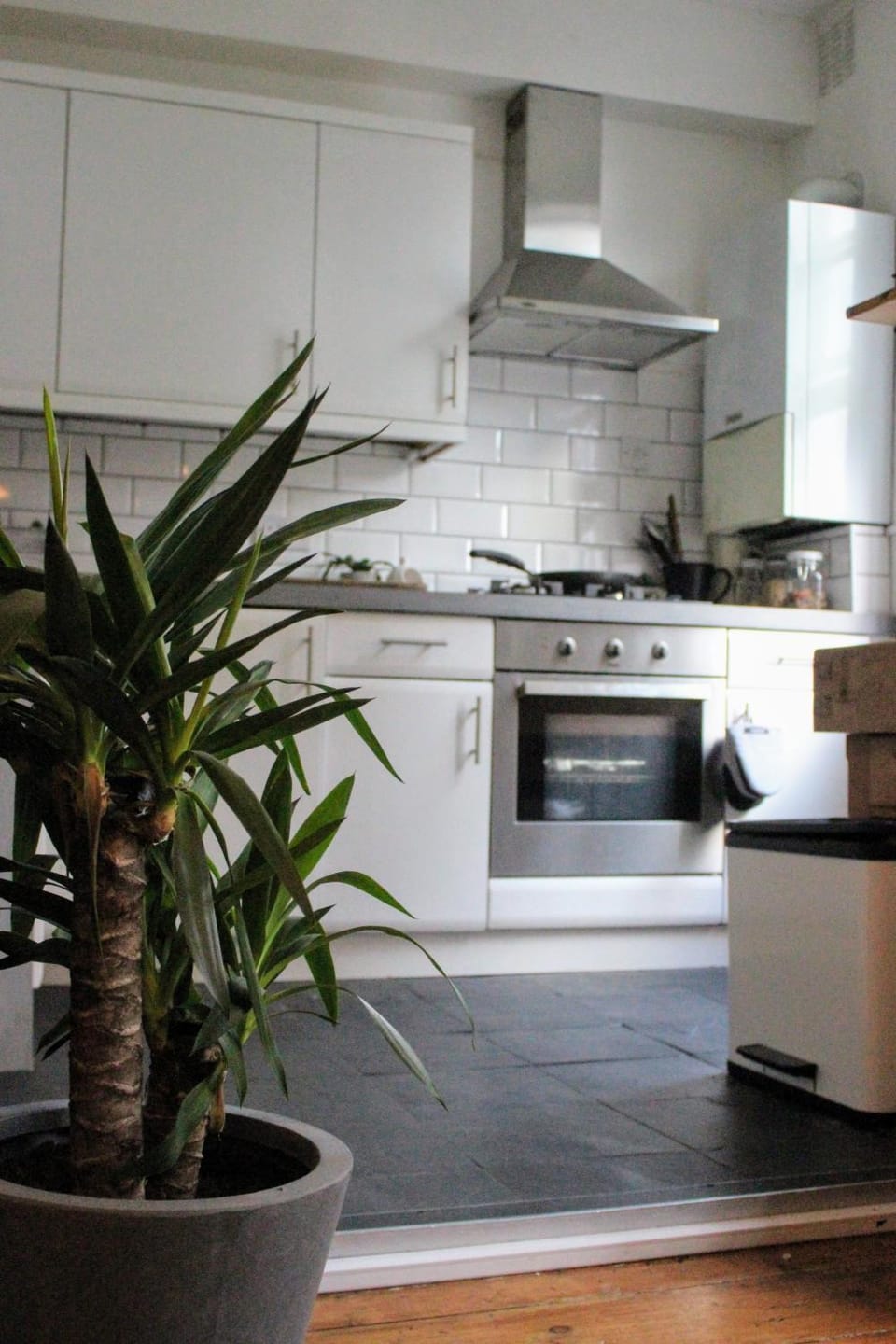 Kitchen or kitchenette, kitchen