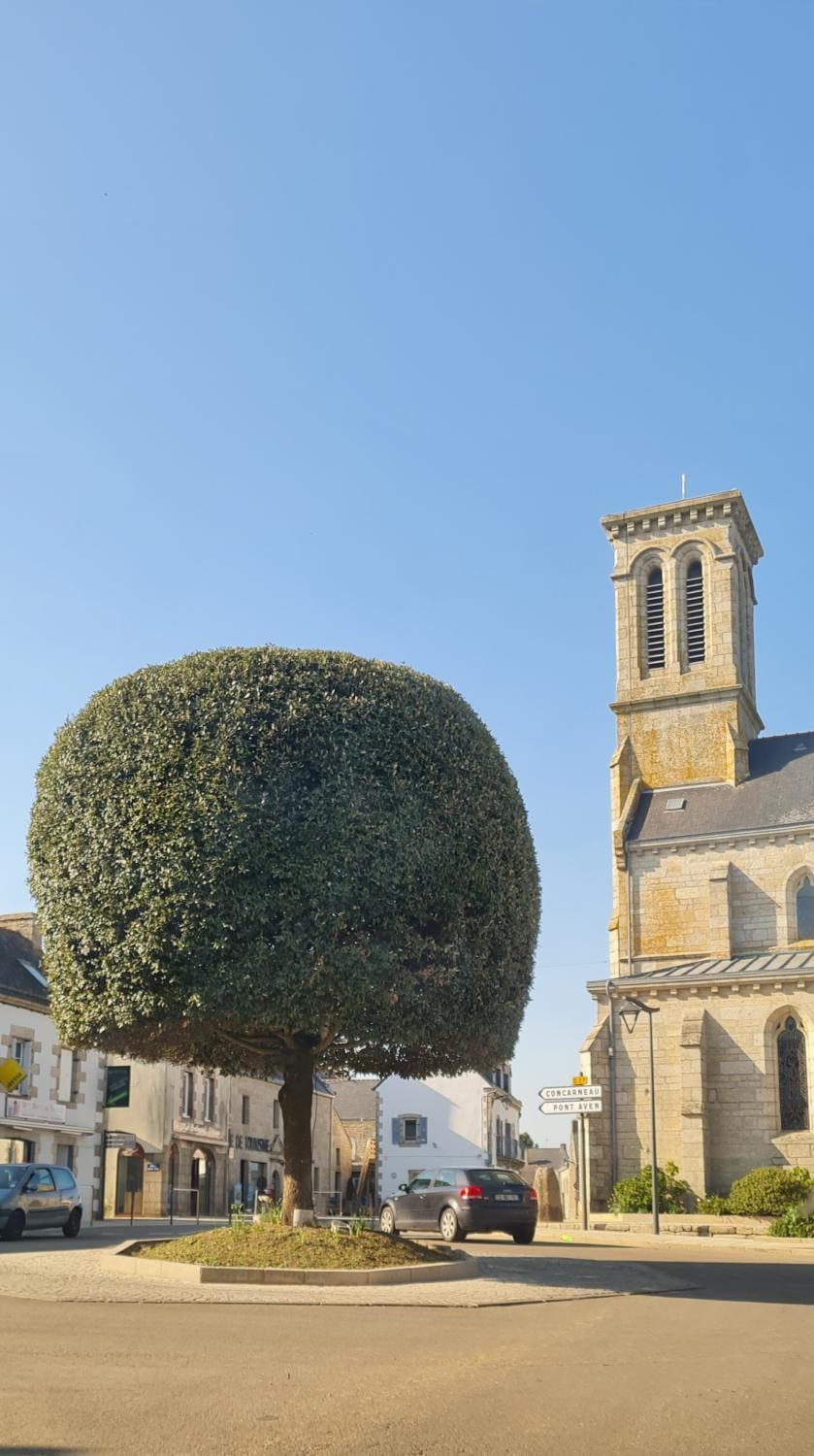 Grande Maison dans le Bourg de Nevez + jardin House in Finistere