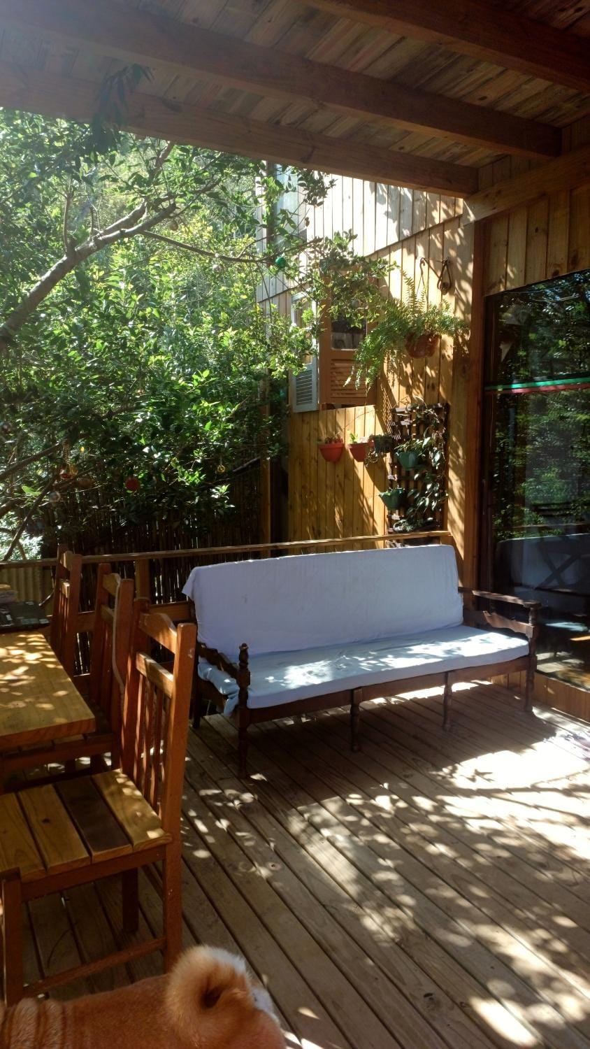 Patio, Off site, Day, Natural landscape, Garden, View (from property/room), Garden view, Area and facilities, Sunrise, furniture