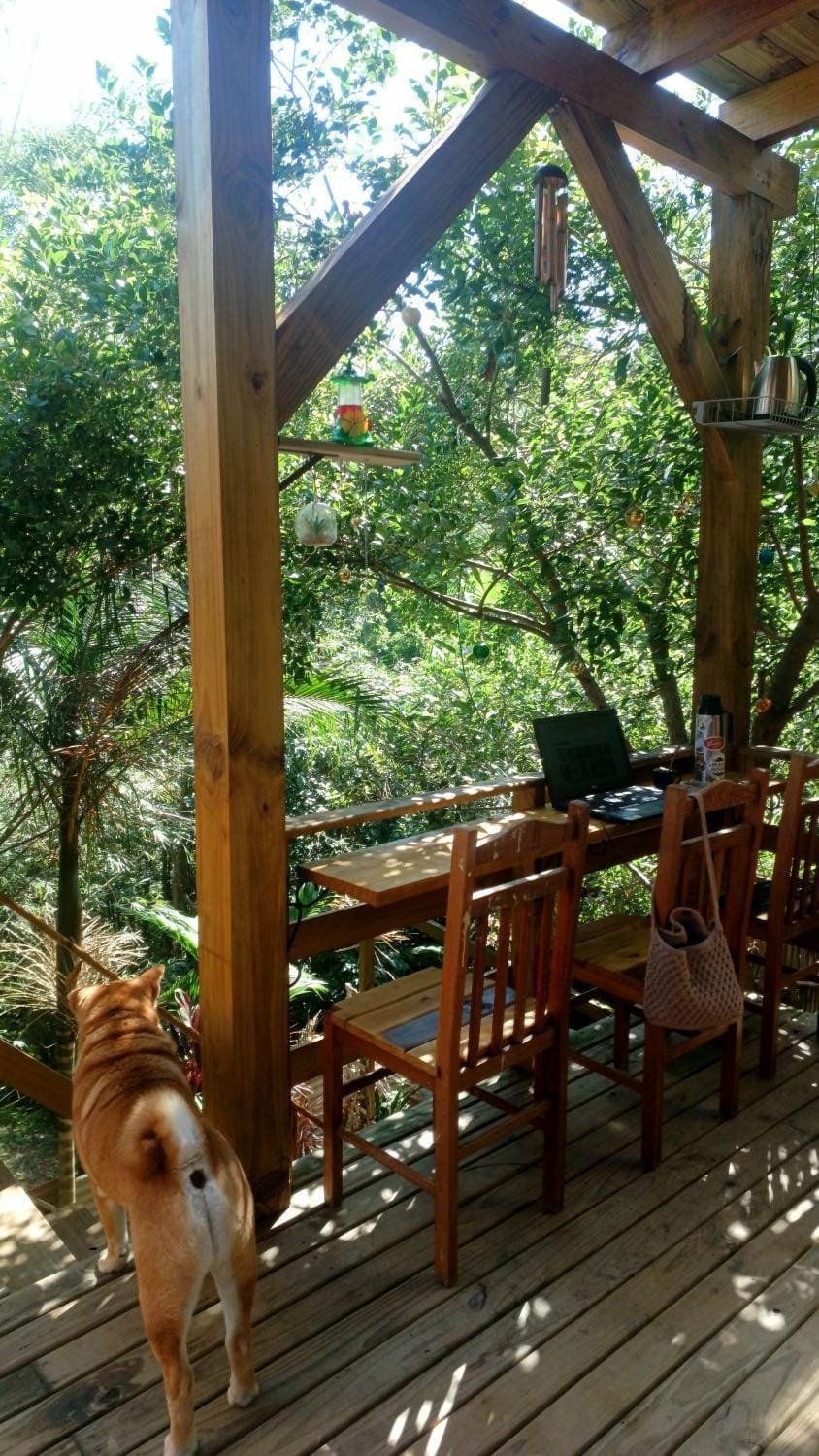 Patio, Off site, Day, Natural landscape, View (from property/room), Seating area, Dining area, Animals, Pets, Garden view, Area and facilities