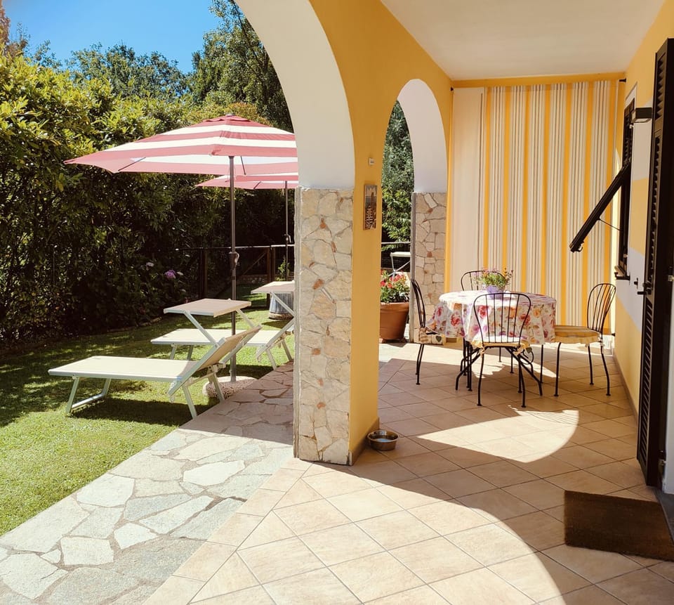 Garden, Garden view, sunbed