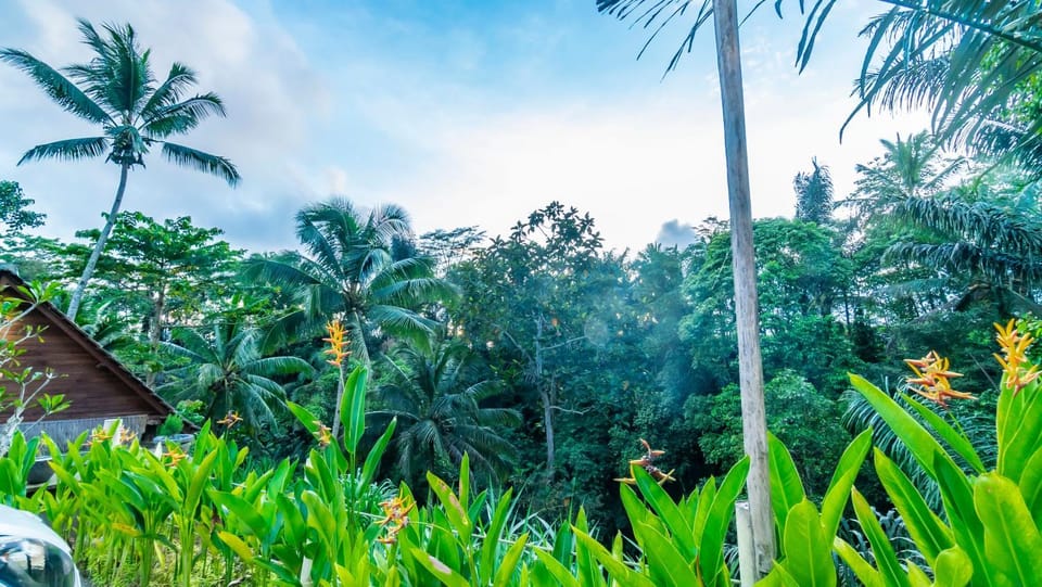 View (from property/room)