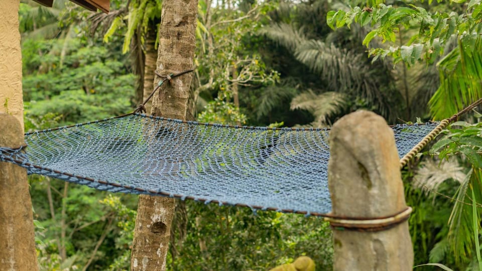 Natural landscape, Garden view, Area and facilities