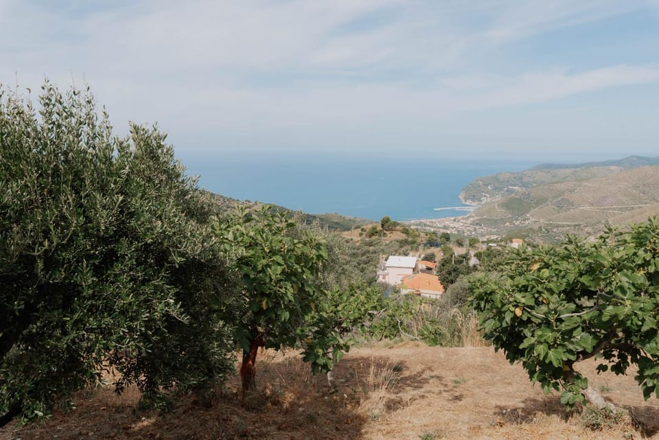 Sea view