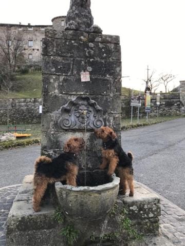 Nearby landmark