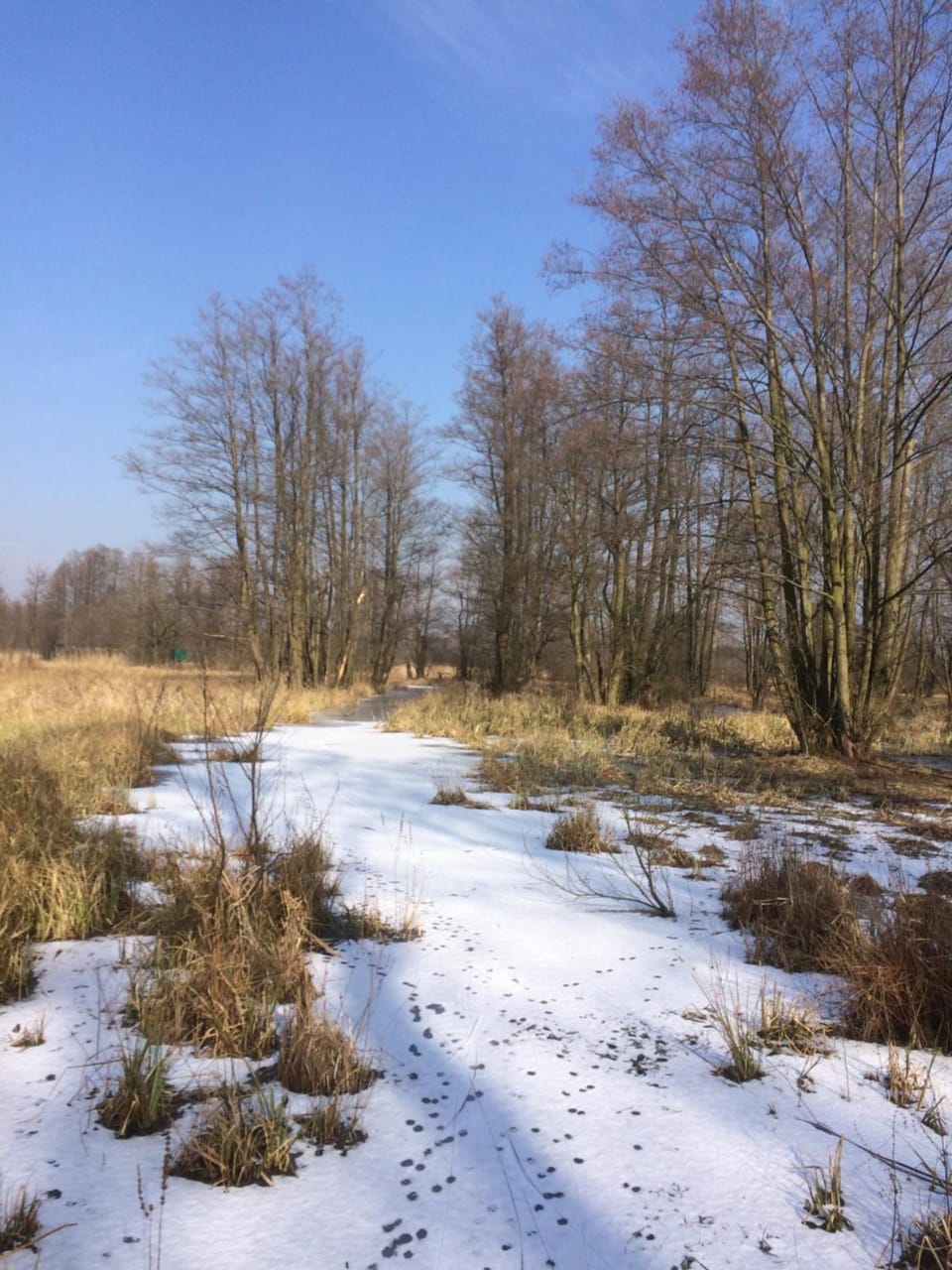 Natural landscape