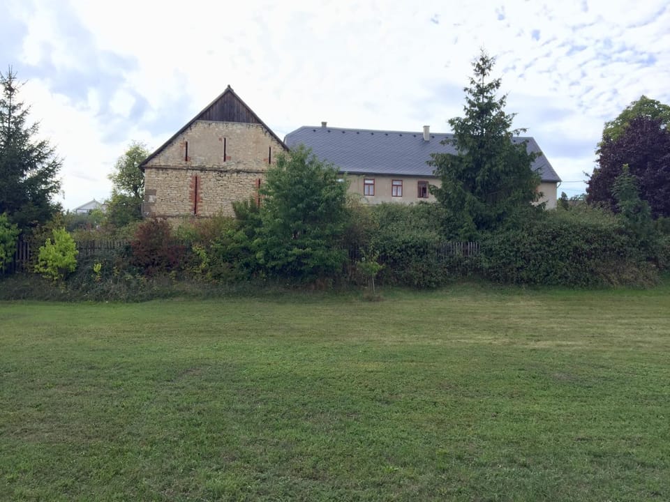 Property building, Spring, Day, Garden
