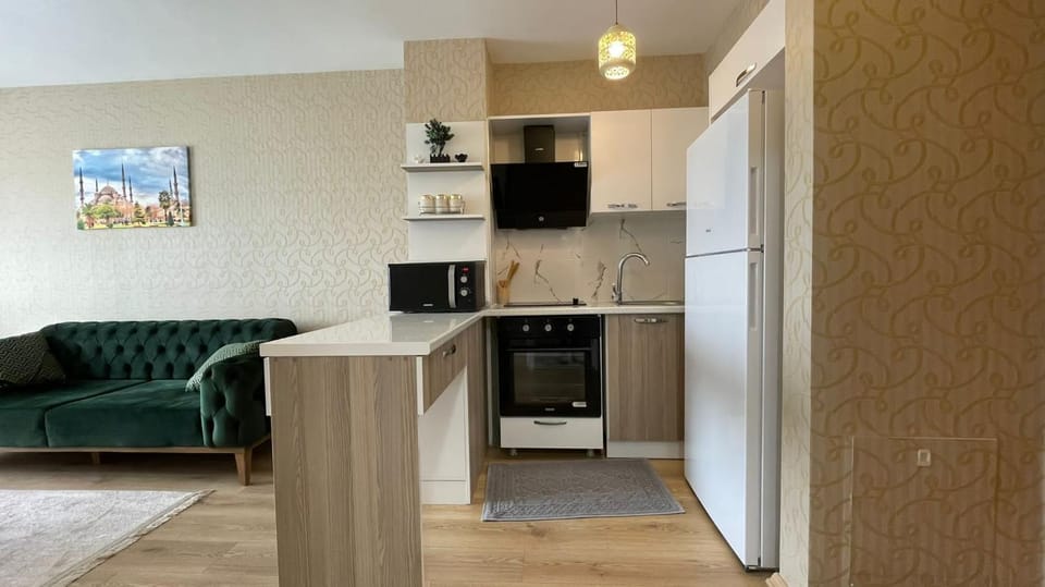Kitchen or kitchenette, dishwasher, oven, stove