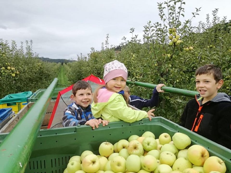 Natural landscape, children