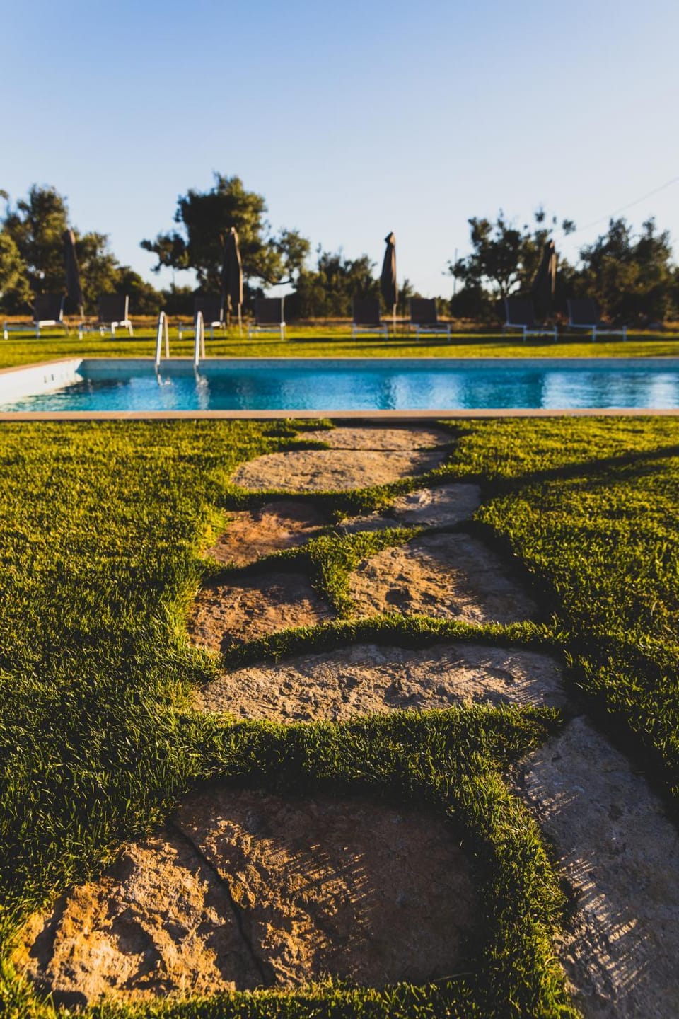 Natural landscape, Garden, Swimming pool