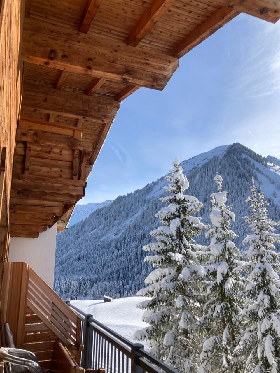 Natural landscape, Winter, View (from property/room), Balcony/Terrace, Mountain view