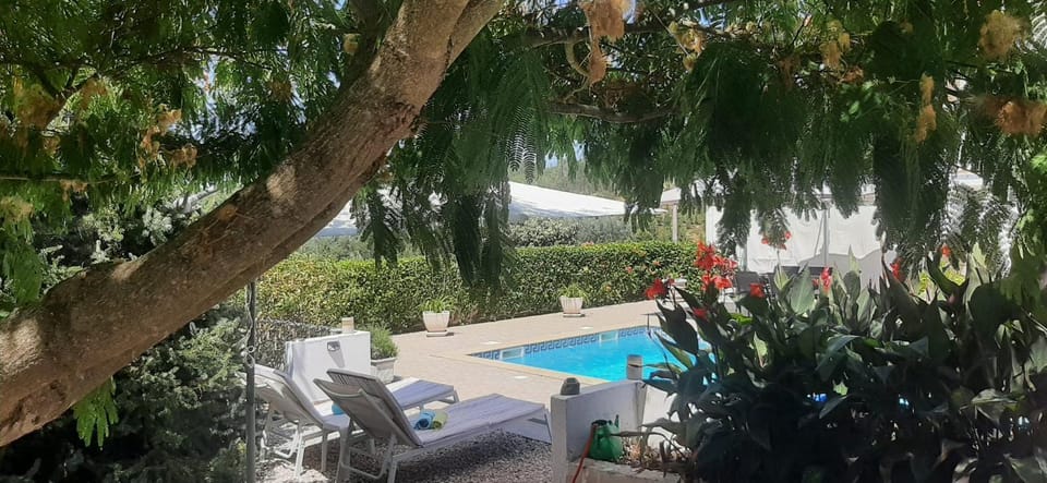 Garden, Garden view, Pool view, Swimming pool, sunbed