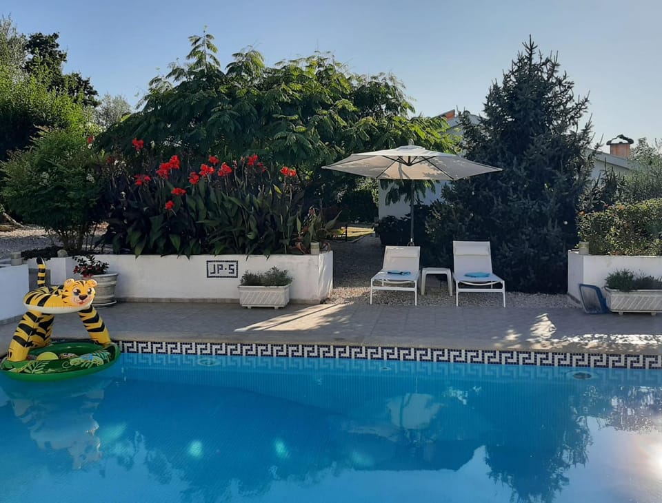 Garden, Pool view, Swimming pool, sunbed