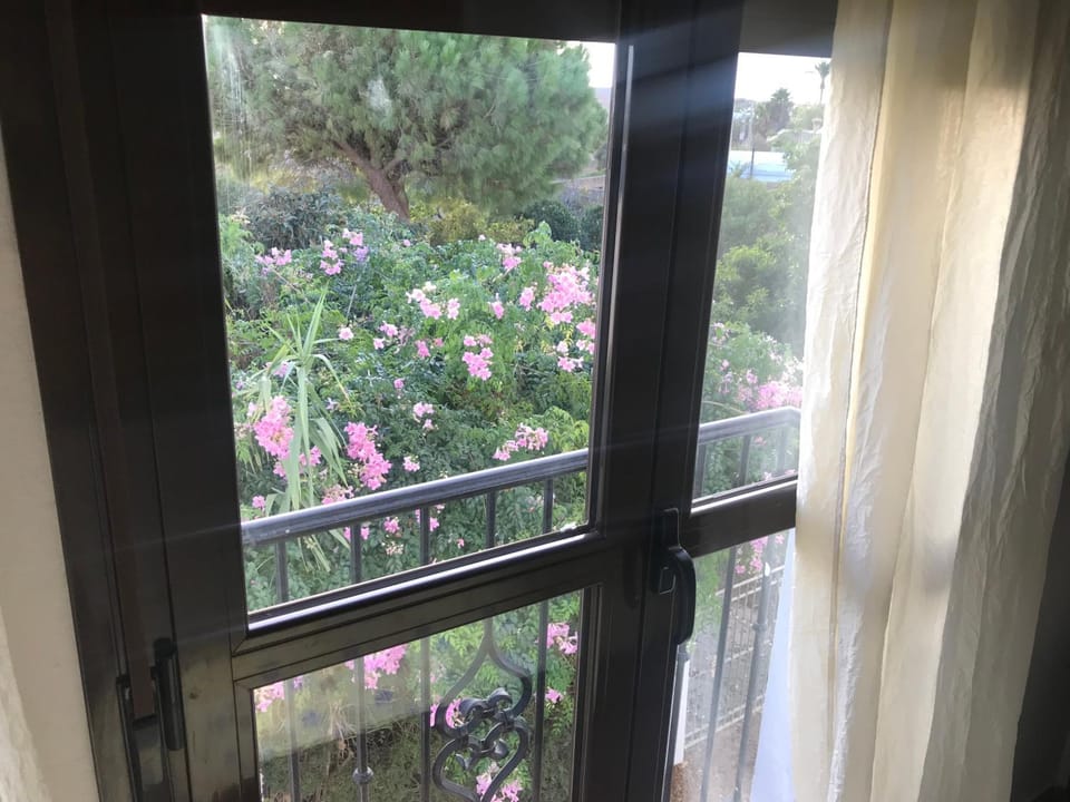 View (from property/room), Balcony/Terrace