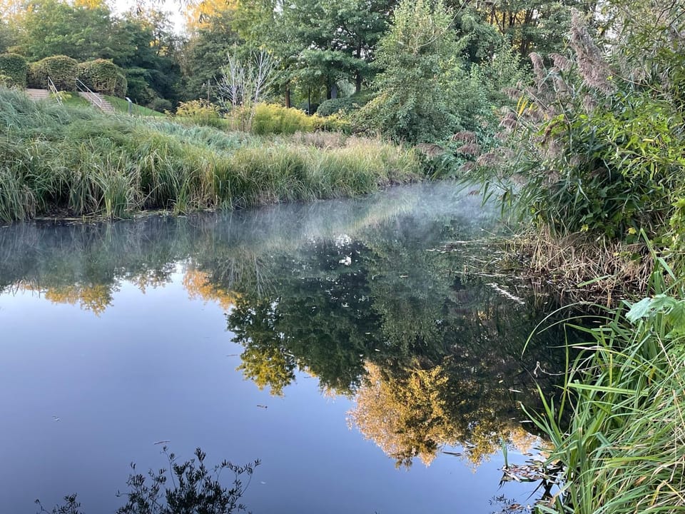 Natural landscape, River view