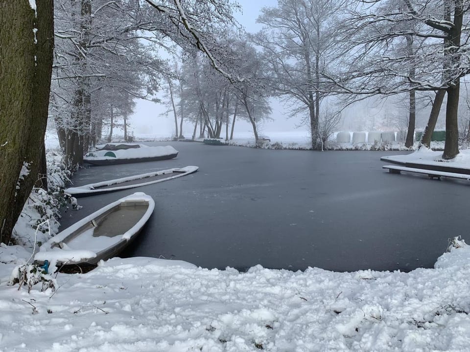 Natural landscape, Winter