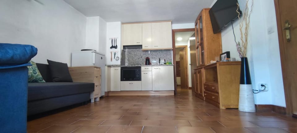 Apartamento MontEsquiBonito Bonito Apartamento en Yésero Apartment in Aragon
