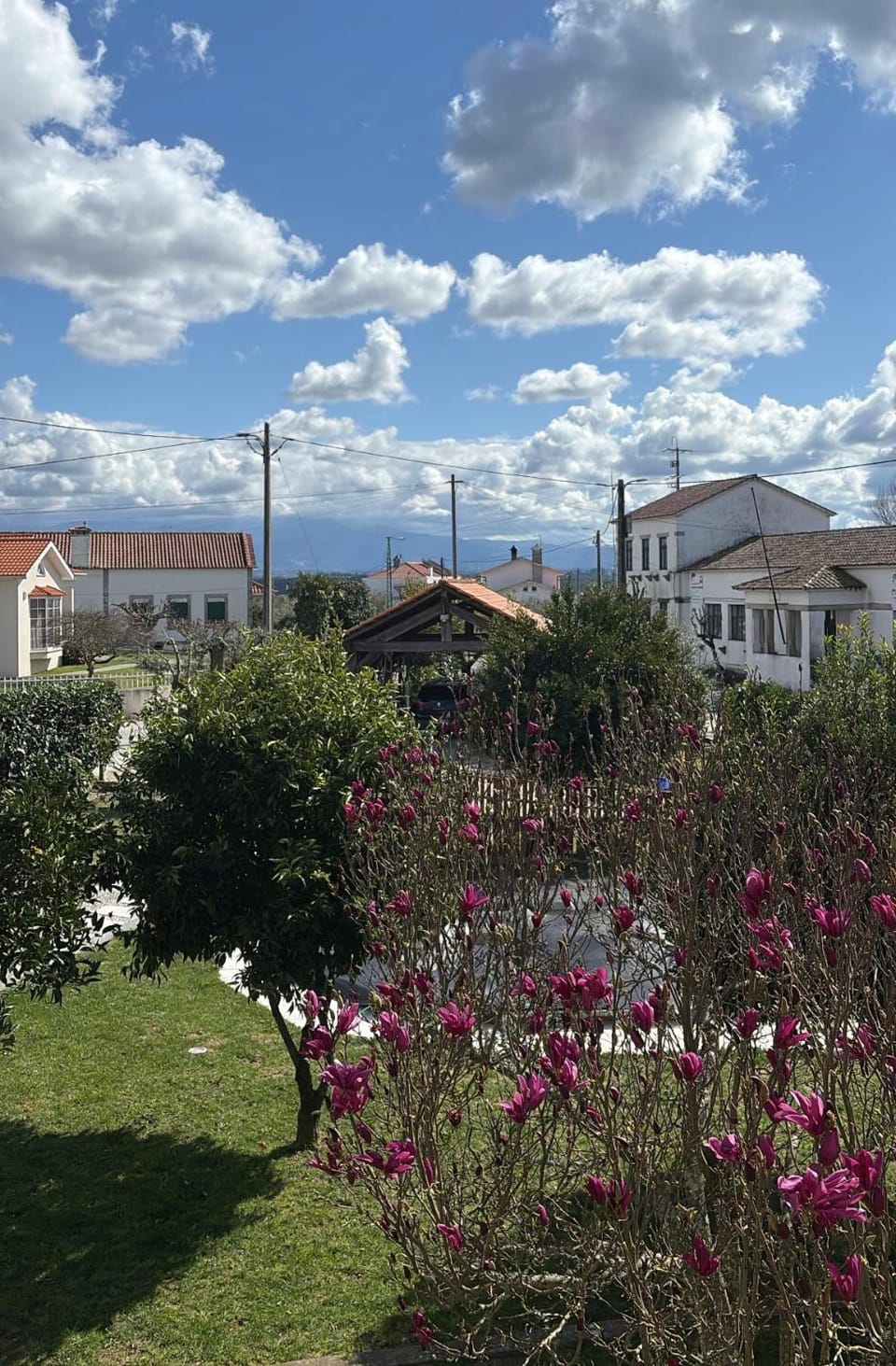 View (from property/room)