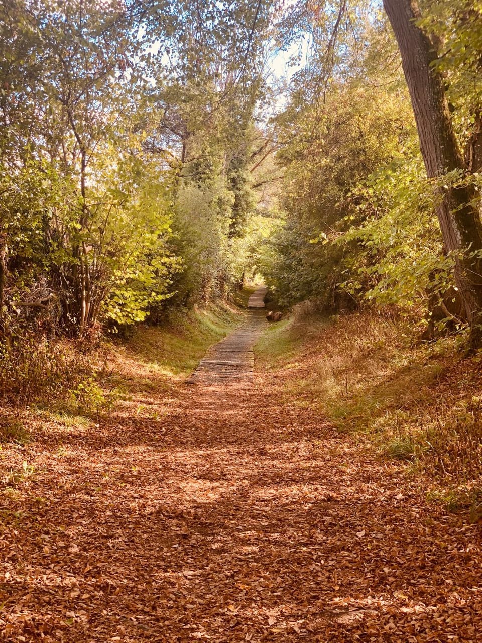 Natural landscape, Autumn