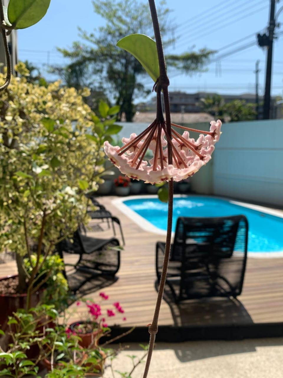 Pool view