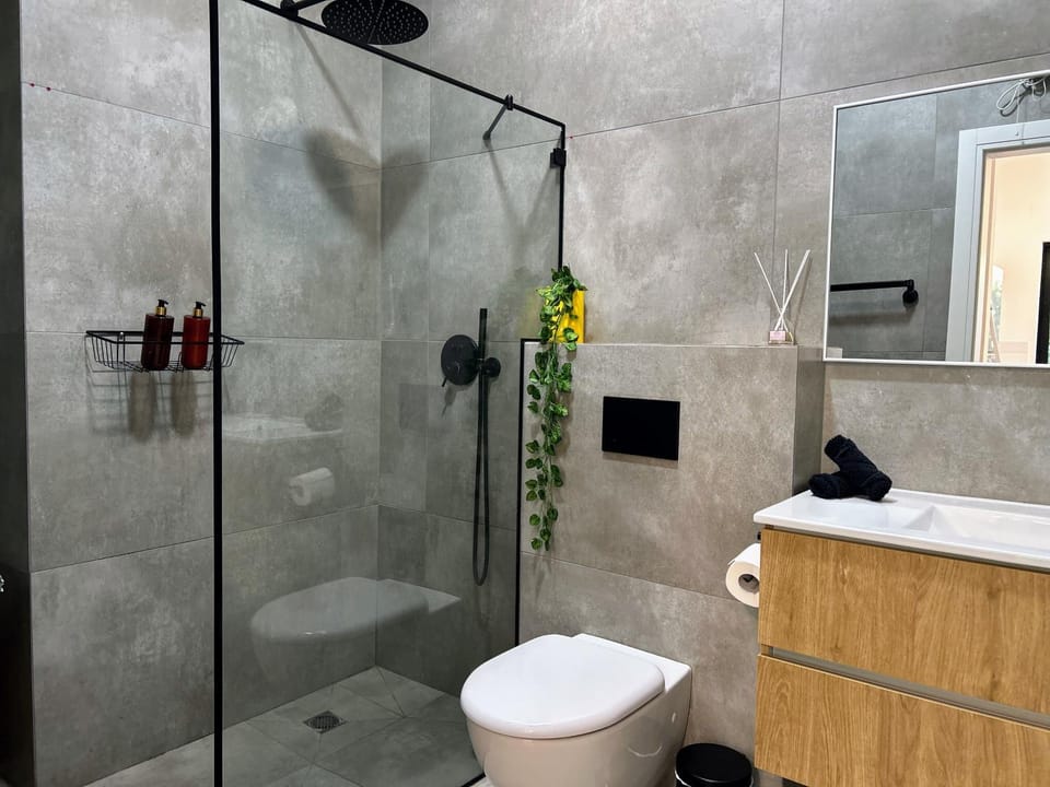 Shower, Toilet, Bathroom, towels
