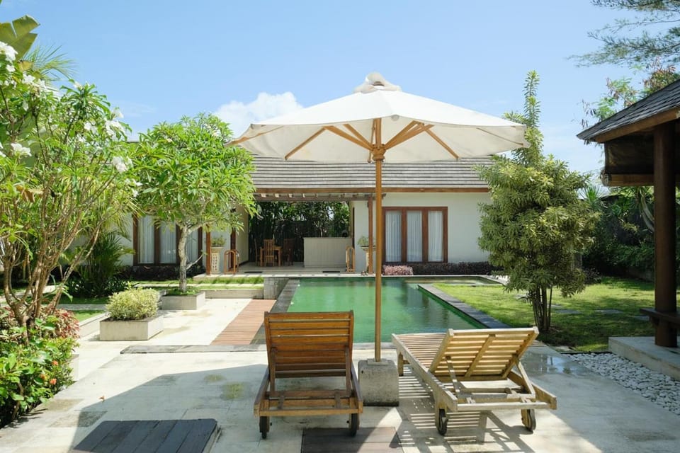 Garden, Swimming pool, sunbed