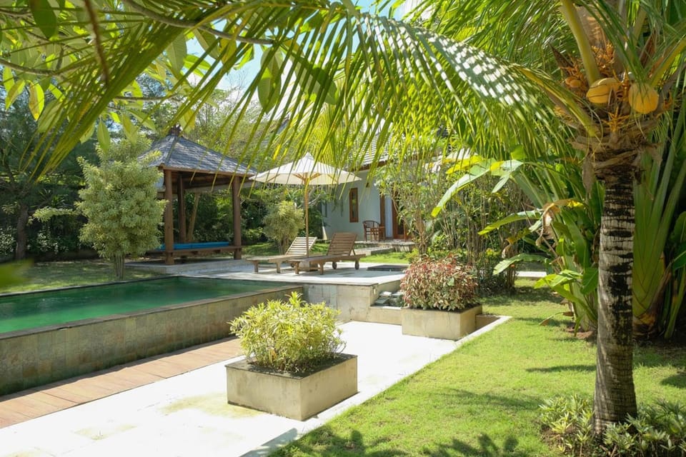 Garden, Swimming pool