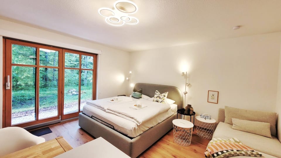 Bed, Balcony/Terrace, Photo of the whole room