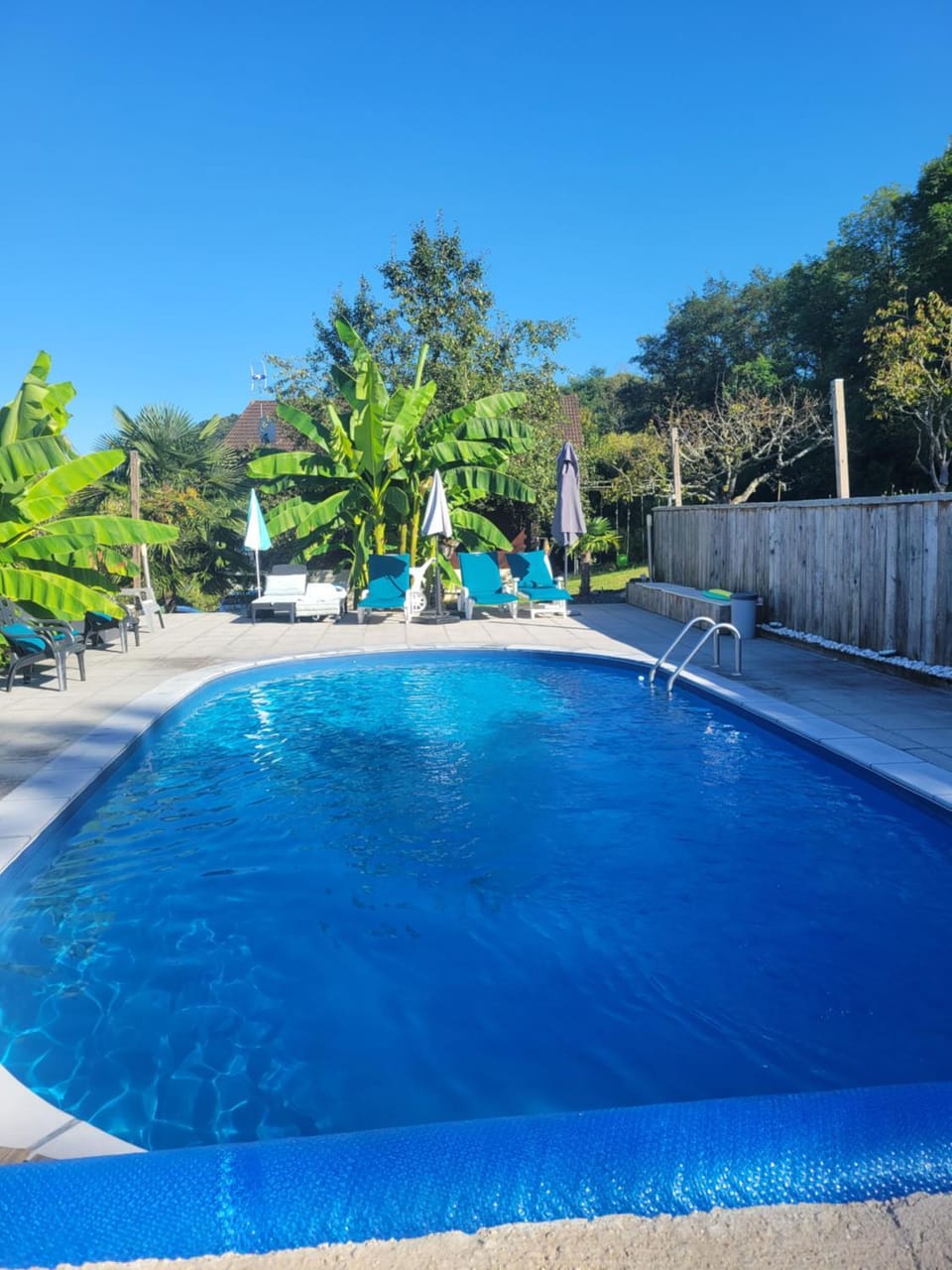 Day, Natural landscape, Pool view, Swimming pool, Swimming pool, sunbed